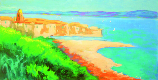 1sainttropez195x97cm msi jpg