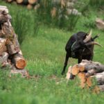 La ferme de Peigros 01 2048x1365