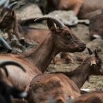 La ferme de Peigros 02 2048x1365