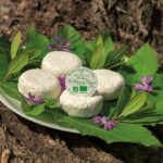 La ferme de Peigros 19 2048x1365