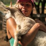 La ferme de Peigros 26 scaled