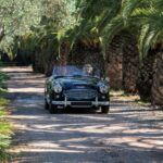 AUSTIN HEALEY 3000 15 2048x1365