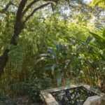 DOMAINE FONCIN DOMAINE DU RAYOL 26 2048x1367