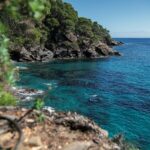 DOMAINE FONCIN DOMAINE DU RAYOL 31 2048x1367