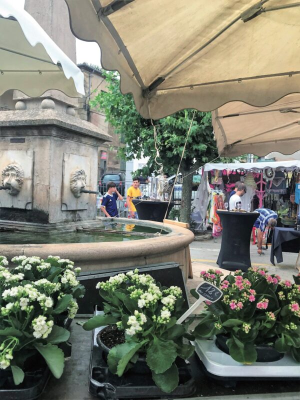 Marche ete la garde freinet ©sandra c 3 redimensionner