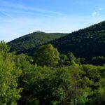 FORET MODELE DE PROVENCE 07 1 2048x1365