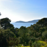 FORET MODELE DE PROVENCE 15 2048x1365