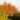 Foret modele de provence 22 2048x1360
