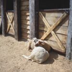 LE RANCH DE LA MENE 02 2048x1535