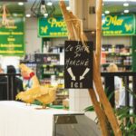 MARCHE COUVERT 1 scaled