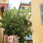 Galerie Hermitage 01