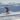 Rossignol Martin Fourcade Les Saisies Vanessa Andrieux 8641 Redimensionner