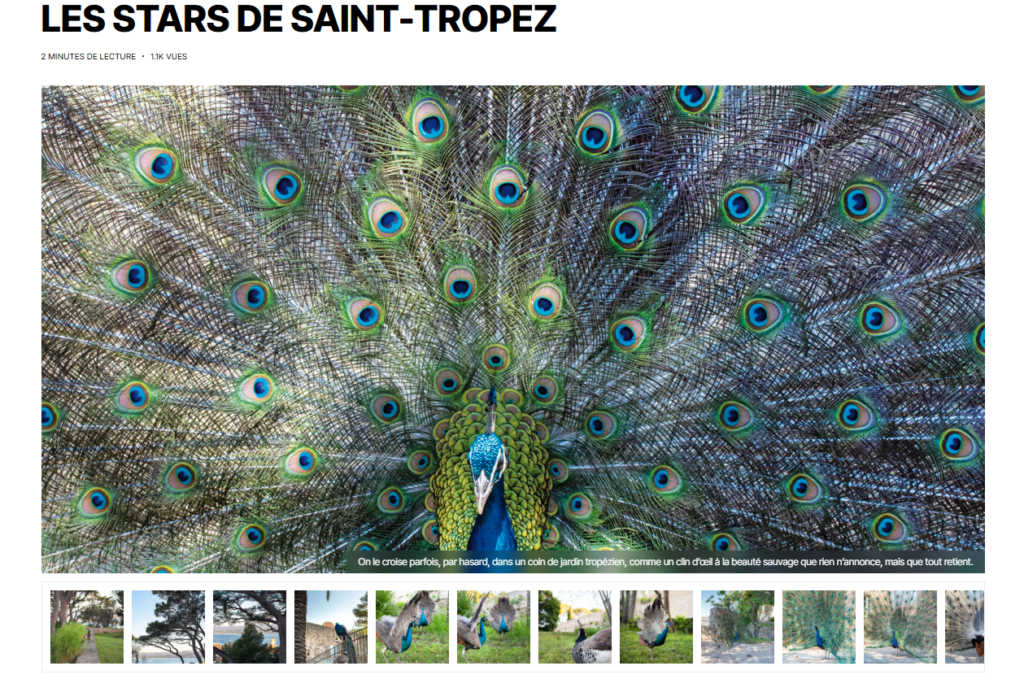 Capture d'écran 2026 01 18