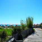 Promenade poétique le long du chemin de planches en bois menant à la plage privée de L'Orangerie à Saint-Tropez. Perspective avec banc brut, ganivelles traditionnelles et parasols alignés face à la mer azur. Prise de vue exclusive pour l'édition de Juin 2026 de THE Magazine.