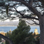 Le Paon de Saint-Tropez