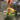 Diapositive 1