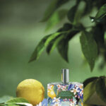 Edt fleur de citronnier fragonard