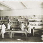 Femmes usine4