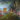 Moya embarquement 2019