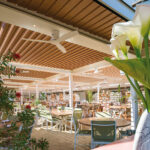 Photo de couverture article