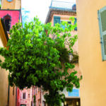 Vue pittoresque d'une ruelle typique de Saint-Tropez menant à la boutique Mas Ermitage. Un figuier luxuriant s'élève devant la façade ocre, tandis que l'emblématique clocher rose et jaune de l'église se dessine dans le ciel. Reportage réalisé pour l'édition de Juin 2026 de THE Magazine.