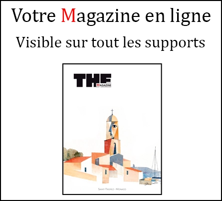 Magazine en ligne article copie
